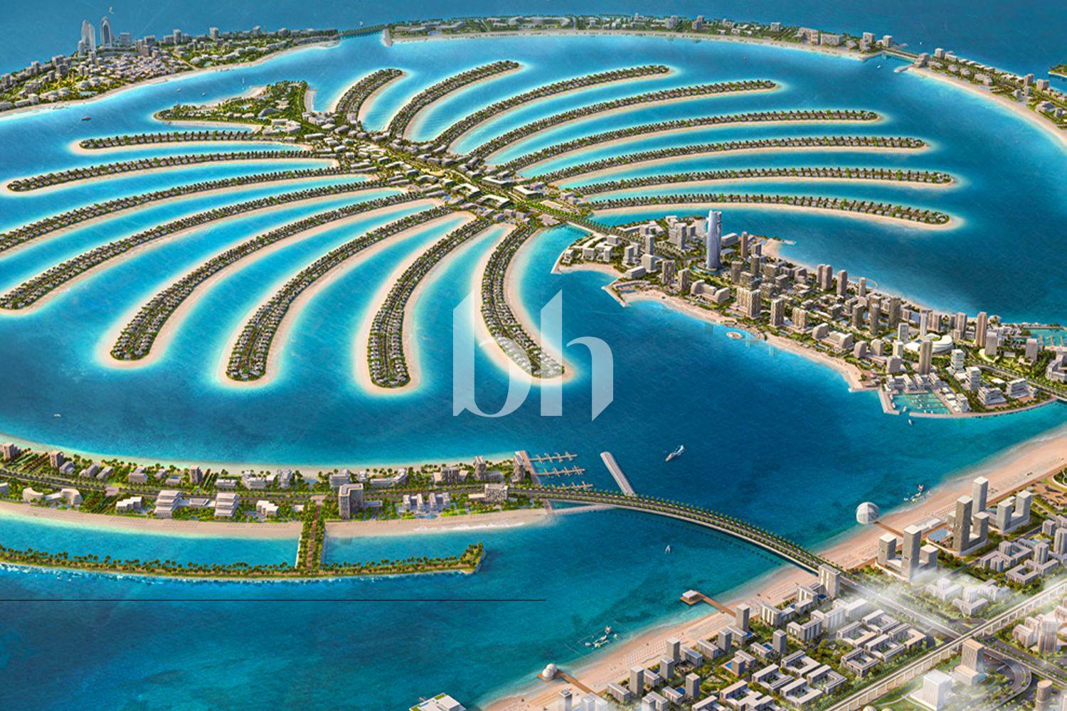 Palm Jebel Ali Frond M — photograph 4