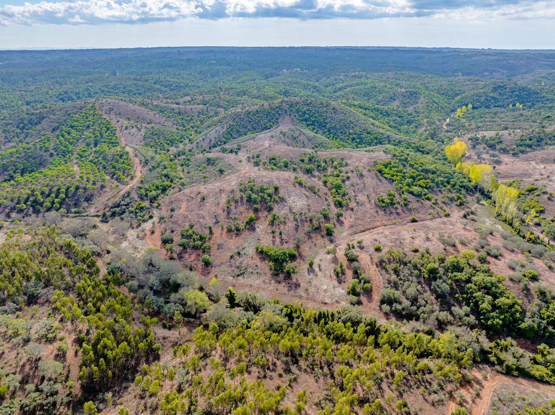 Land in Grândola — photograph 4