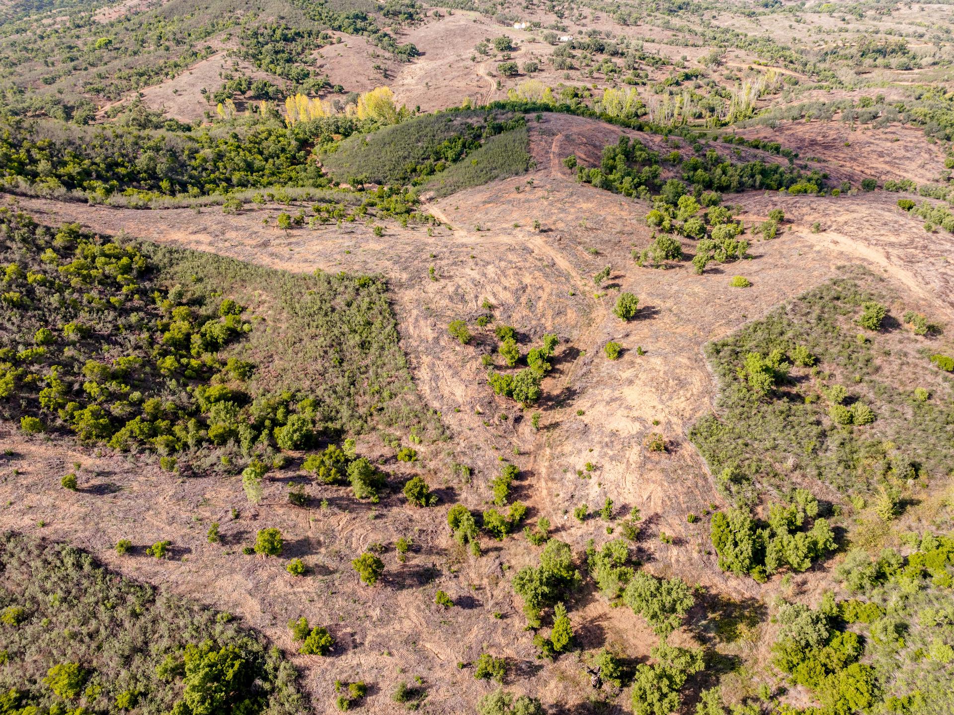 Land in Grândola — photograph 5