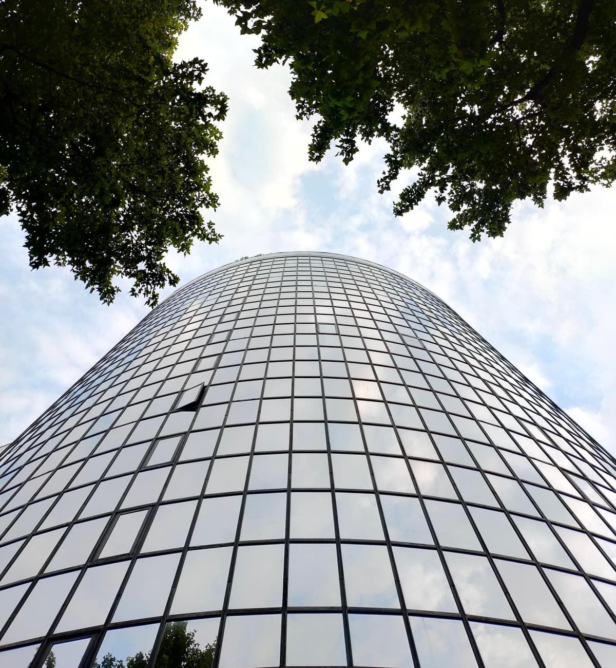 Curved glass tower framed by trees, seen from below
